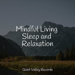 Mindful Living Sleep and Relaxation - Rain Sounds Sleep