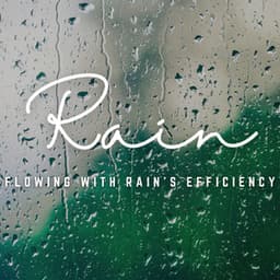 Rainy Focus Oasis: Enhance Concentration with Nature's Rain - Night Sounds Association