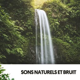 Sons Naturels et Bruit: Mélodies de l'Eau - Ruido Blanco Hart