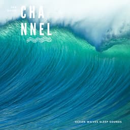 Ocean Waves Sleep Sounds - Sea Noise Channel