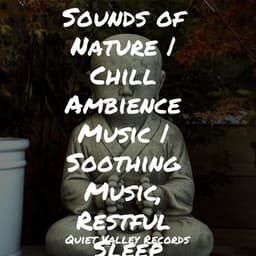 Sounds of Nature | Chill Ambience Music | Soothing Music, Restful Sleep - Happy Baby Lullaby Collection