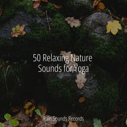 50 Relaxing Nature Sounds for Yoga - Forest Sounds