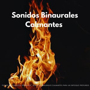 Fuego Y Naturaleza Tranquila: Sonidos Binaurales Calmantes Para Un Enfoque Profundo - Sonidos de fuego de resplandor brillante