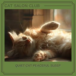 Quiet Cat Peaceful Sleep - Cat Salon Club