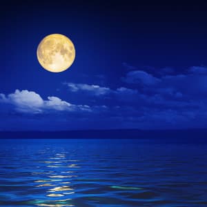 Meditative Ballad by the Sea: Music for Stress Relief - Meditation Music therapy