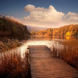 Soft Relaxation: Peaceful Music Sounds - Silent Relaxing Moments