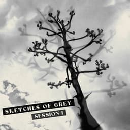 Session 1 - Sketches of Grey