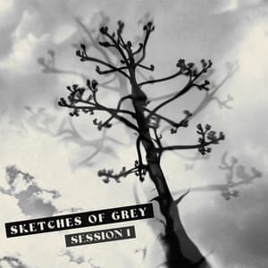 Session 1 - Sketches of Grey
