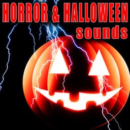 Horror & Halloween Sounds - Sound Effects Library