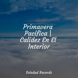 Primavera Pacífica | Calidez En El Interior - Academia de Música para Massagem Relaxamento