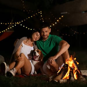 Fireside Dog Bond: Ambient Fire's Mindful Canine Connection - Sounds of Fire for Sleep