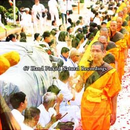 67 Hand Picked Natural Recordings - Meditation Focus