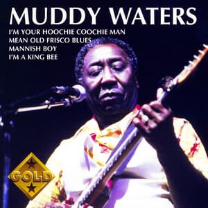 Muddy Waters - Muddy Waters