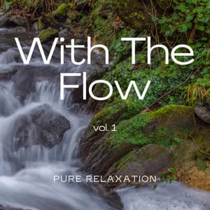 1 With The Flow Vol. 1 - Relaxing Nature Recordings