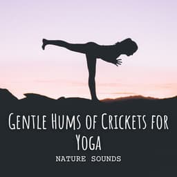 Nature Sounds: Gentle Hums of Crickets for Yoga - Nature Music Nature Songs