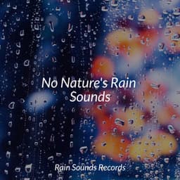 No Nature's Rain Sounds - Anxiety Relief