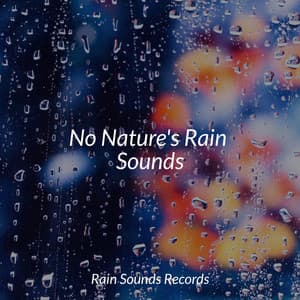 No Nature's Rain Sounds - Anxiety Relief