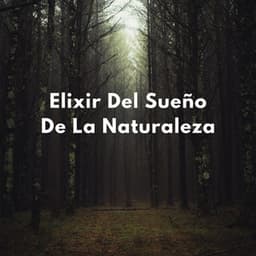 Sueños En La Naturaleza En Calma: Elixir Del Sueño De La Naturaleza - Televisión de la naturaleza