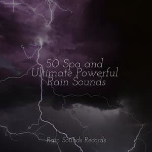 50 Spa and Ultimate Powerful Rain Sounds - Instrumental