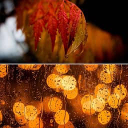 Music for Chill Tuesday - Tranquilo Café Música