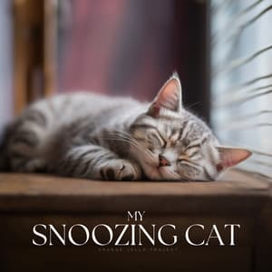 My Snoozing Cat - Pet Music