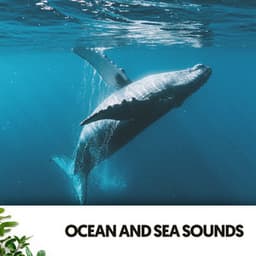 Ocean and Sea Sounds: Deep Thoughs - Cat Music Therapy