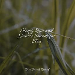 Sleepy Rain and Nature Sounds for Sleep - Guided Meditation