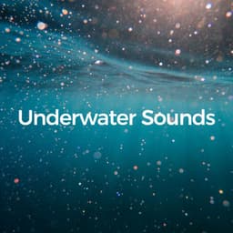 Underwater Sounds - Underwater Sounds