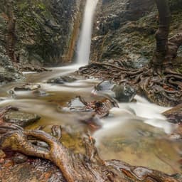 1 More Time: Thriving Vibes - 16 Bit Serenity