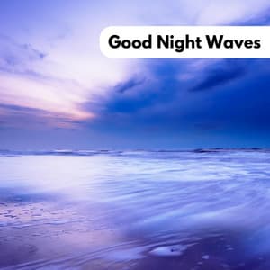 Good Night Waves - Selective Sounds TTA