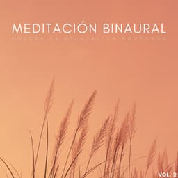 Meditación Binaural: Mejora La Relajación Profunda Vol. 2 - Estados de ánimo binaurales