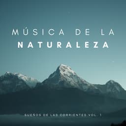 Música De La Naturaleza: Sonidos Del Agua Del Rio Vol. 1 - Meditación Con Ruido Blanco