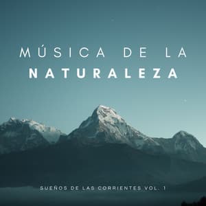 Música De La Naturaleza: Sonidos Del Agua Del Rio Vol. 1 - Meditación Con Ruido Blanco