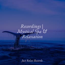 Recordings | Mystical Spa & Relaxation - Música para Relajarse Profundamente