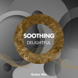 zZz Soothing Delightful Guitar Mix zZz - Palm Analogue