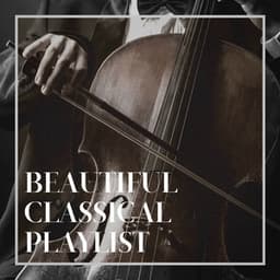 Beautiful Classical Playlist - Piano: Classical Relaxation