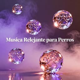 Puertas Abiertas al Silencio Eterno - Relajacion y Guitarra Acustica