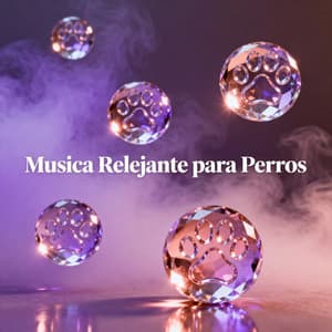 Puertas Abiertas al Silencio Eterno - Relajacion y Guitarra Acustica