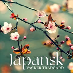 Japansk Vacker Trädgård: Traditionell Instrumentalmusik för Djup Avslappning - Lugn Musik Atmosfär