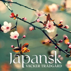 Japansk Vacker Trädgård: Traditionell Instrumentalmusik för Djup Avslappning - Lugn Musik Atmosfär
