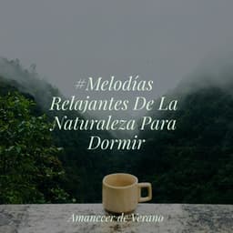 #Melodías Relajantes De La Naturaleza Para Dormir - Musica Relajante
