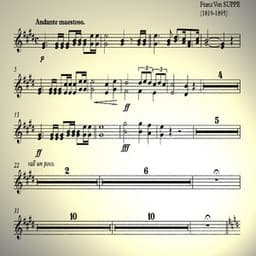 Franz Von Suppe: The Peasant and the Poet and Other Famous Overtures - Franz von Suppé