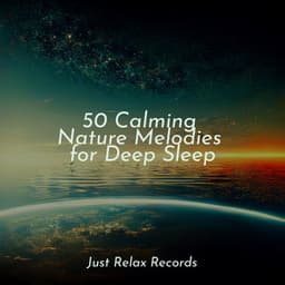 50 Calming Nature Melodies for Deep Sleep - Musica Reiki
