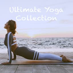Ultimate Yoga Collection - Relaxing Mindfulness Meditation Relaxation Maestro
