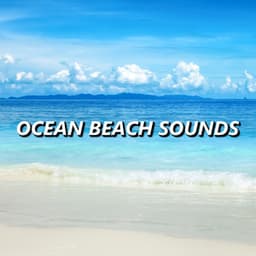 Ocean Beach Sounds - Seashore Waves