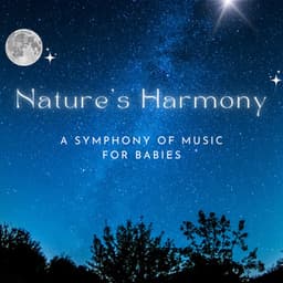 Nature's Harmony: A Symphony of Music for Babies - Nature Baby Lullaby Company