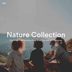 #01 Nature Collection for Serene Yoga Practices, Long Road Trips and Calm Mornings - Soft Soundscapes
