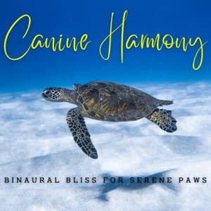 Ambient Oceanic Canine Harmony: Binaural Bliss for Serene Paws - Solfeggio Frequency Meditation