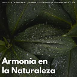 Armonía En La Naturaleza: Lluvia En La Ventana Con Paisajes Sonoros De Truenos Para Yoga - Contenido de calidad Lofi