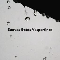 Suaves Gotas Vespertinas - Bonitos ruidos de lluvia